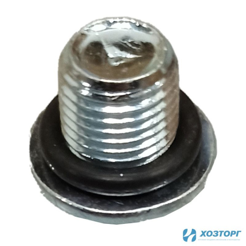 Сливной болт редуктора с уплотнительным кольцом 8 л.с